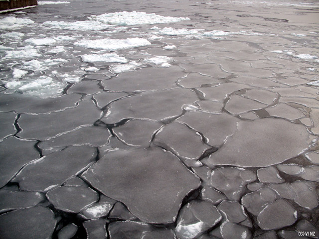 雪景色 北海道 冬 流氷 海氷 オホーツク海 ウトロ港の海氷